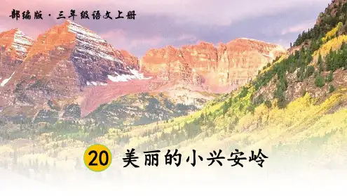 最新2019年秋统编(部编版)语文三年级上册20美丽的小兴安岭教学课件—精品