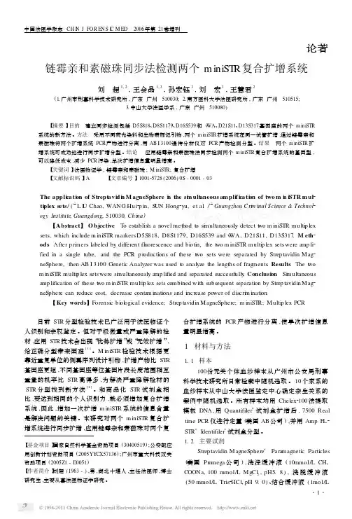 链霉亲和素磁珠同步法检测两个miniSTR复合扩增系统