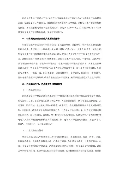 2020年安全生产专项整治行动方案 2