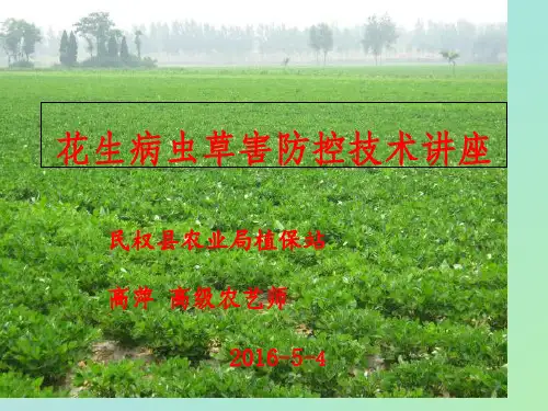 花生病虫害防治技术
