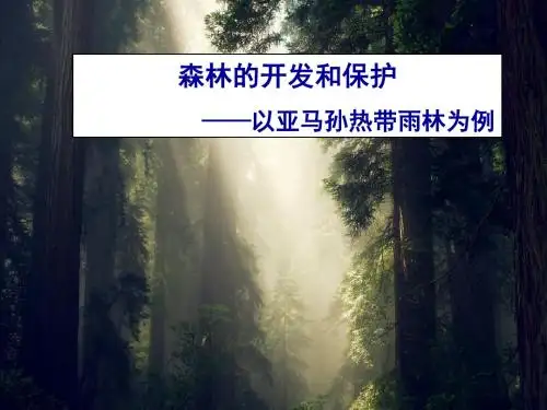 亚马逊