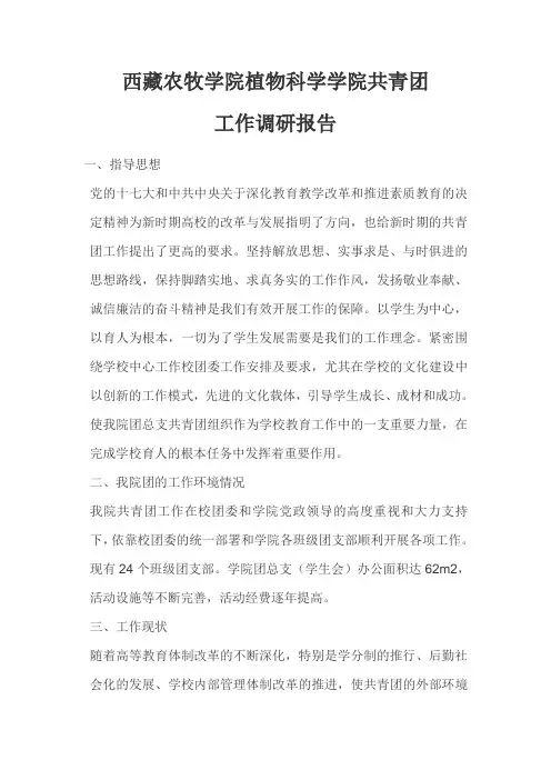 共青团调研报告
