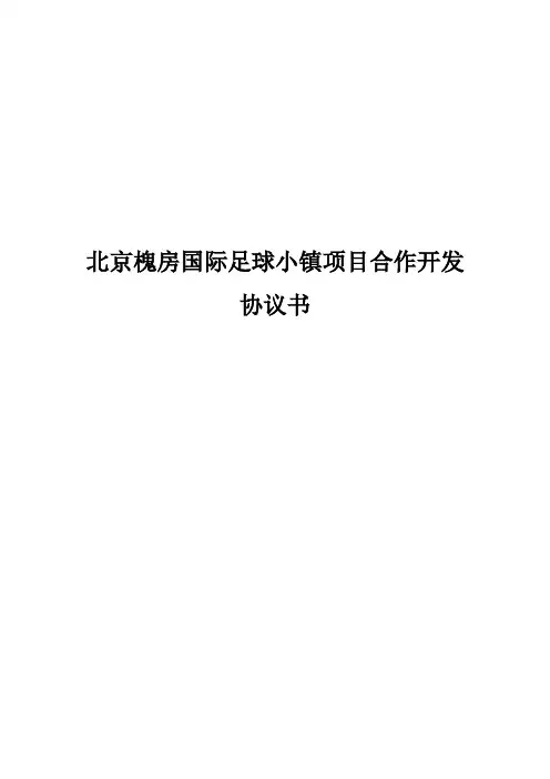 项目合作开发协议书