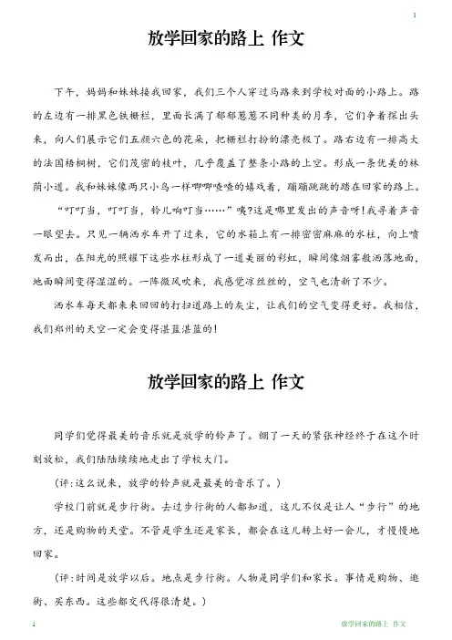放学回家的路上 作文