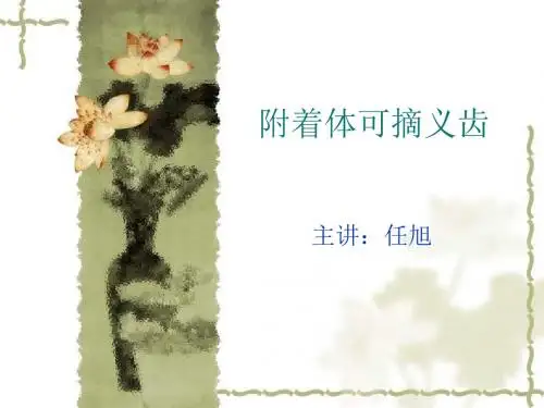 附着体