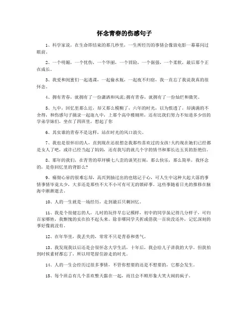 怀念青春的伤感句子