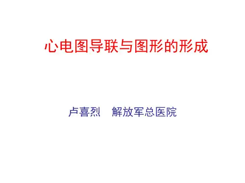 心电图的导联与波形的形成