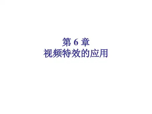 premiere第6章