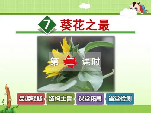 冀教版小学语文六年级下册课件：7.葵花之最【第2课时】