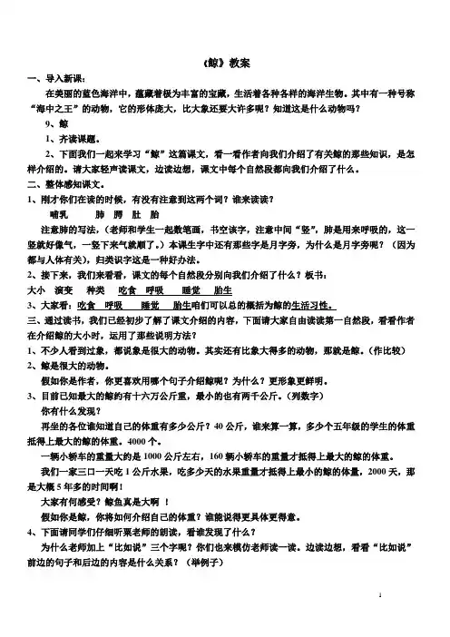 鲸教案