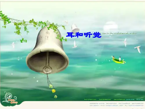 耳和听觉
