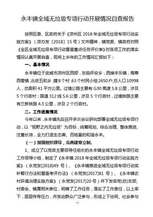 永丰镇 全域无垃圾自查报告