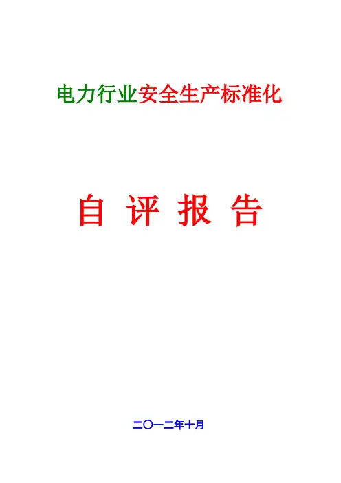 安全生产标准化自评报告-- 电力行业
