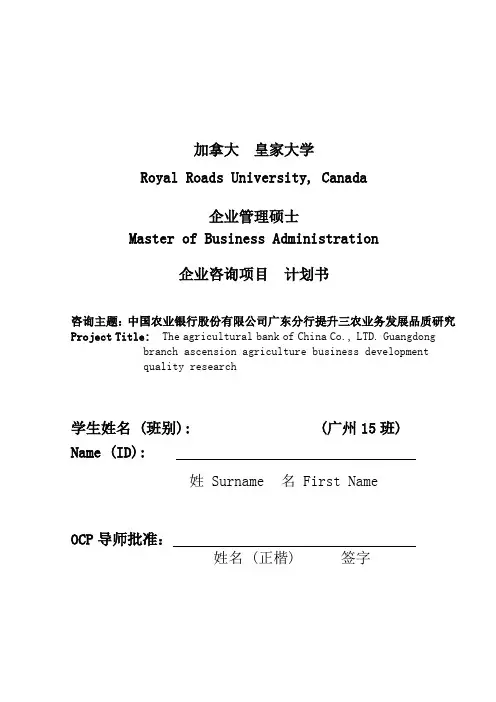 企业咨询项目计划书