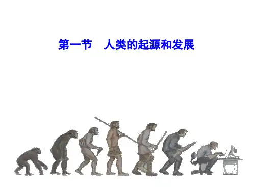 人类的起源和发展