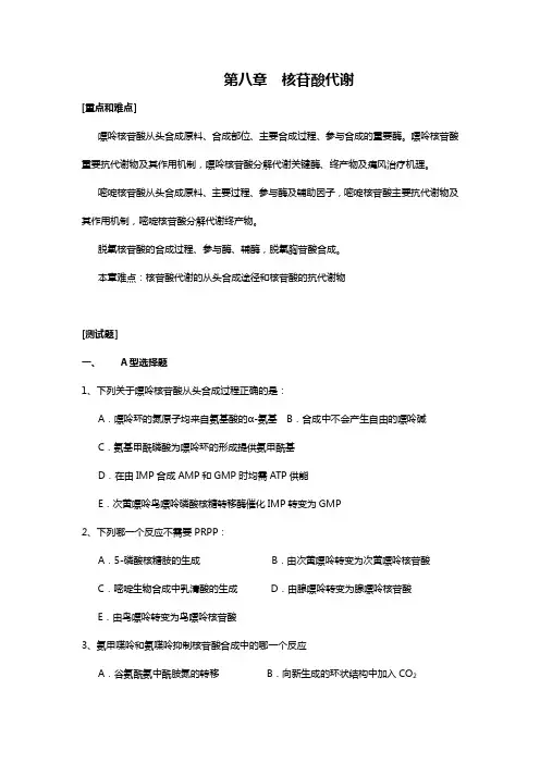 核苷酸代谢 3