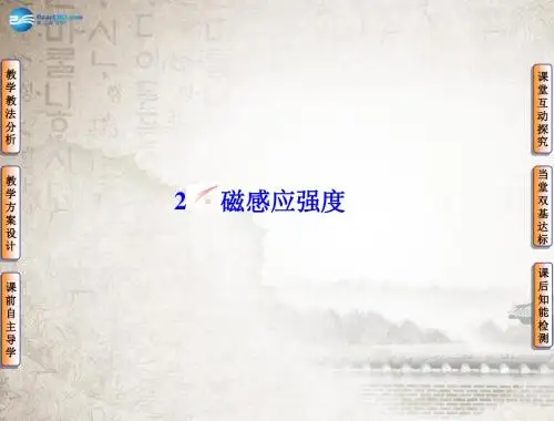 2014版高中物理 3-2磁感应强度课件 新人教版选修3-1
