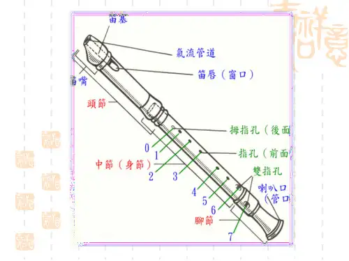 竖笛入门及基础教学