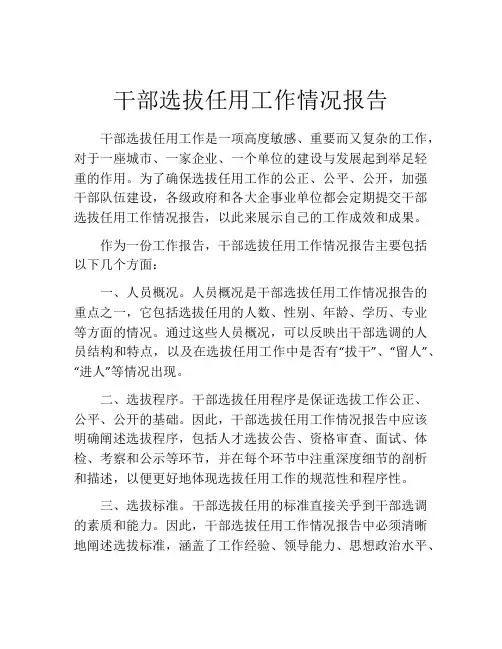 干部选拔任用工作情况报告
