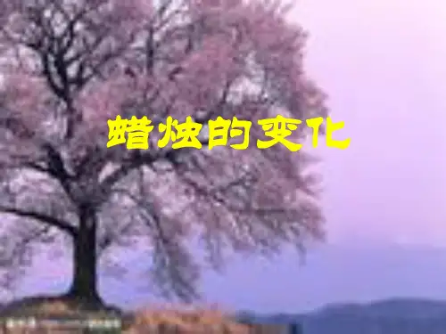 蜡烛的变化 ppt(苏教版科学六上)PPT课件