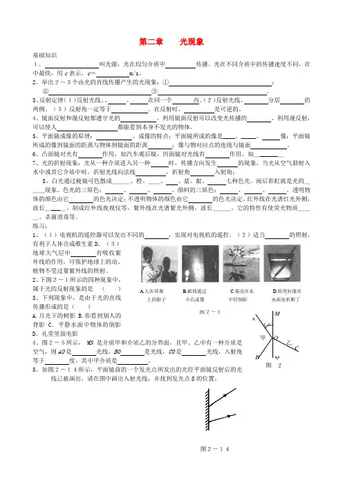 中考物理 专题复习声现象 人教新课标版