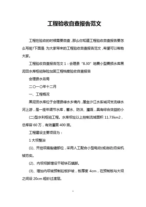 工程验收自查报告范文