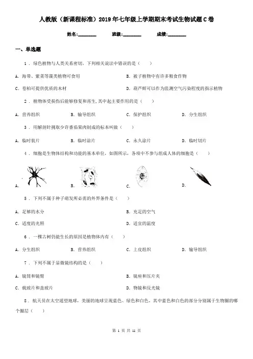 人教版(新课程标准)2019年七年级上学期期末考试生物试题C(练习)