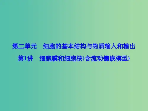 高考生物总复习 第2单元 第1讲 细胞膜和细胞核(含流动镶嵌模型)课件 新人教版必修1