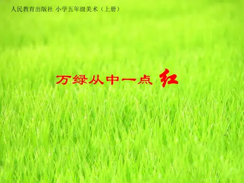 万绿丛中一点红课件ppt