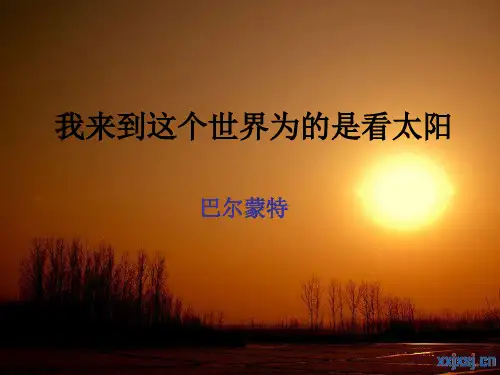 我来到这个世界为的是看太阳