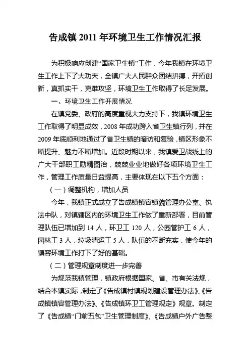 告成镇环境卫生工作情况汇报