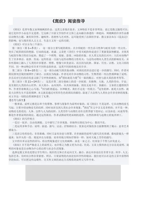 《斑纹》讲解
