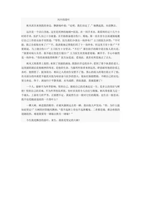 2011年辽宁高考满分作文