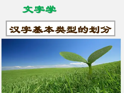 文字学:汉字基本类型的划分