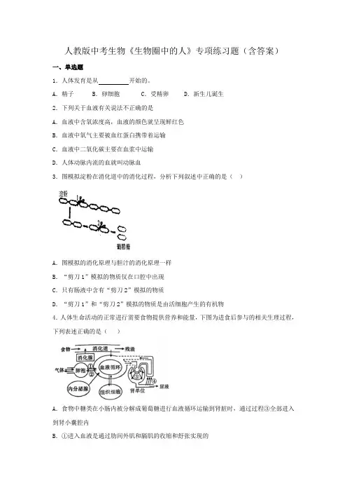 人教版中考生物《生物圈中的人》专项练习题(含答案)