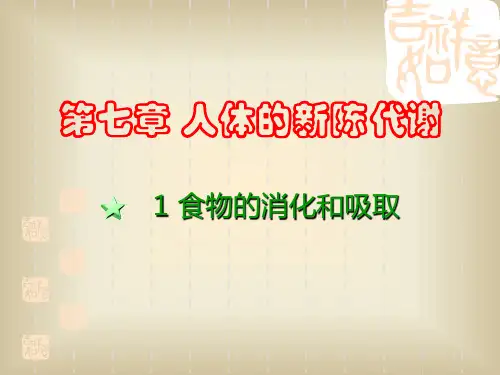 食物的消化和吸收(1)PPT课件(初中科学)