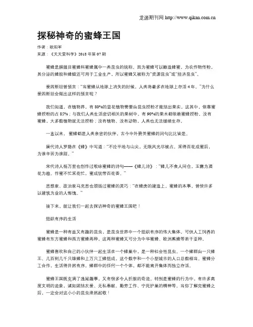 探秘神奇的蜜蜂王国