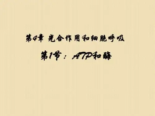 生物：4.1《atp和酶》课件(苏教版必修1)(1)