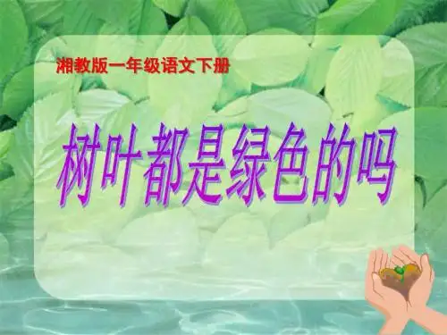 《树叶都是绿色的吗》PPT课件3