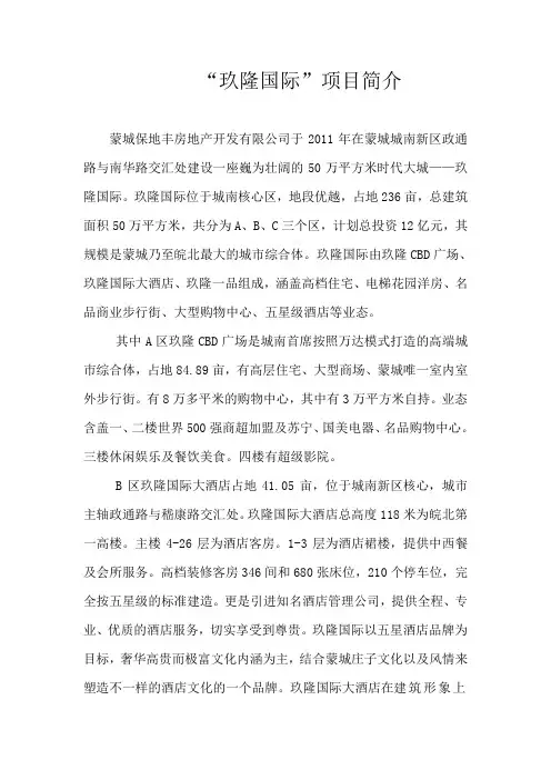 玖隆国际项目简介2011.9.10