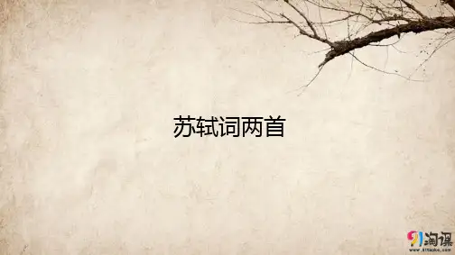 课件22:第5课 苏轼词两首