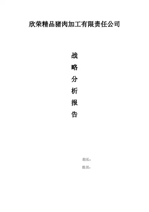战略分析报告