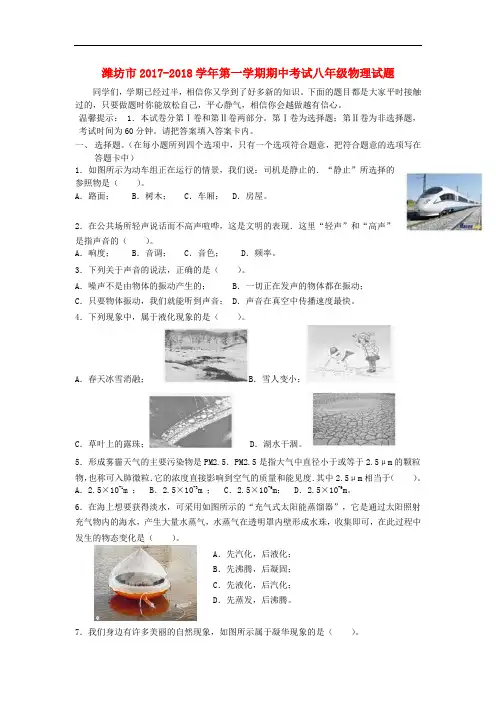 2017-2018学年新人教版物理八年级上学期期中试题