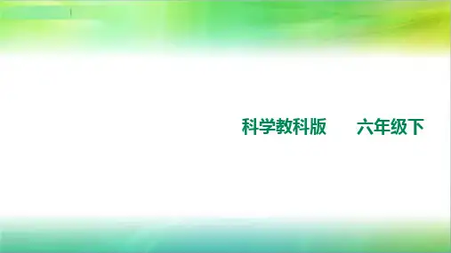 教科版小学科学六年级下册科学4.7考察家乡的自然水域