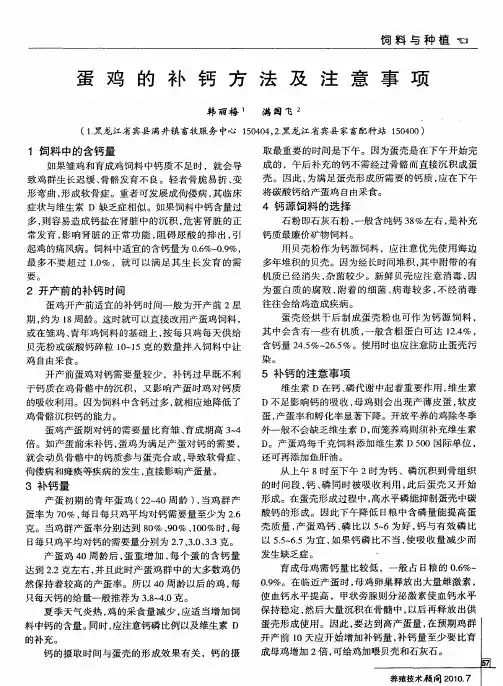 蛋鸡的补钙方法及注意事项
