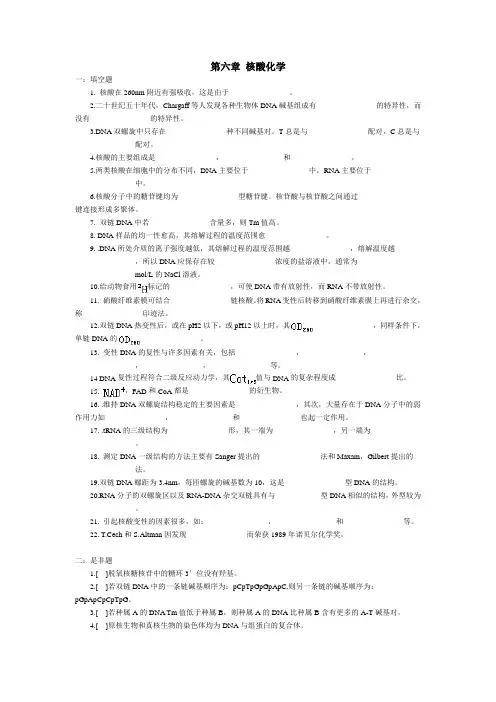 第六章 核酸化学