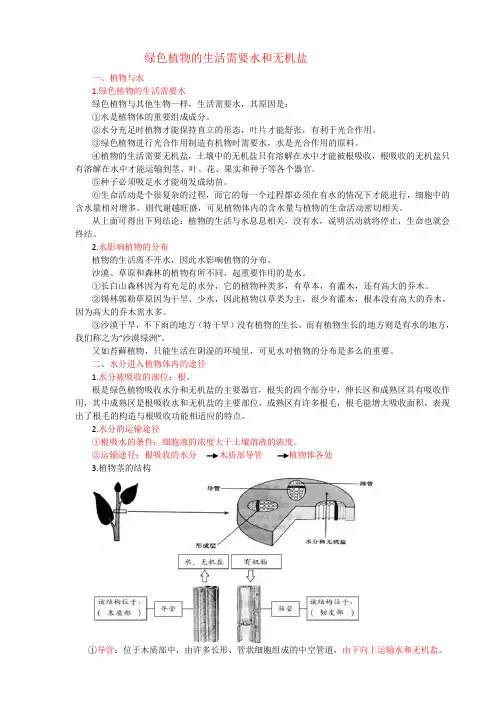 初三生物复习：绿色植物的生活需要水和无机盐