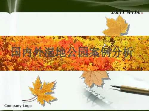 国内外湿地公园经典