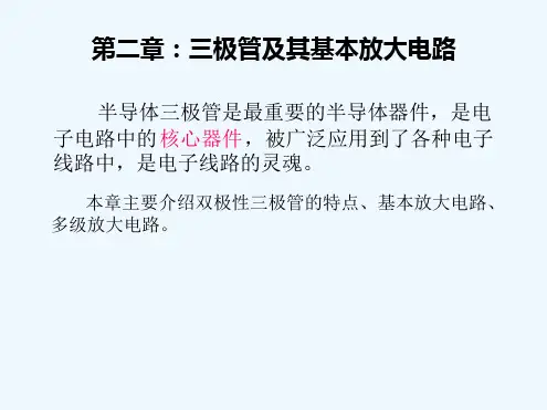 三极管的结构及工作原理模板