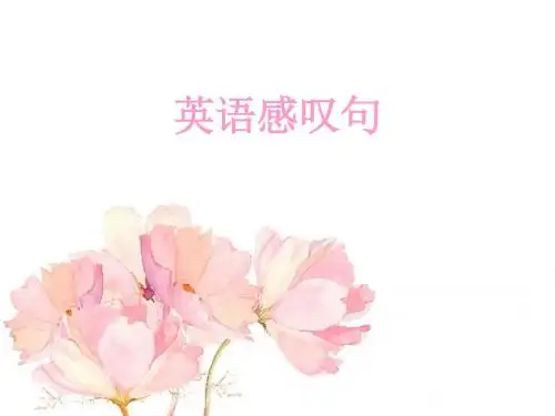 感叹句专题Sunny八年级